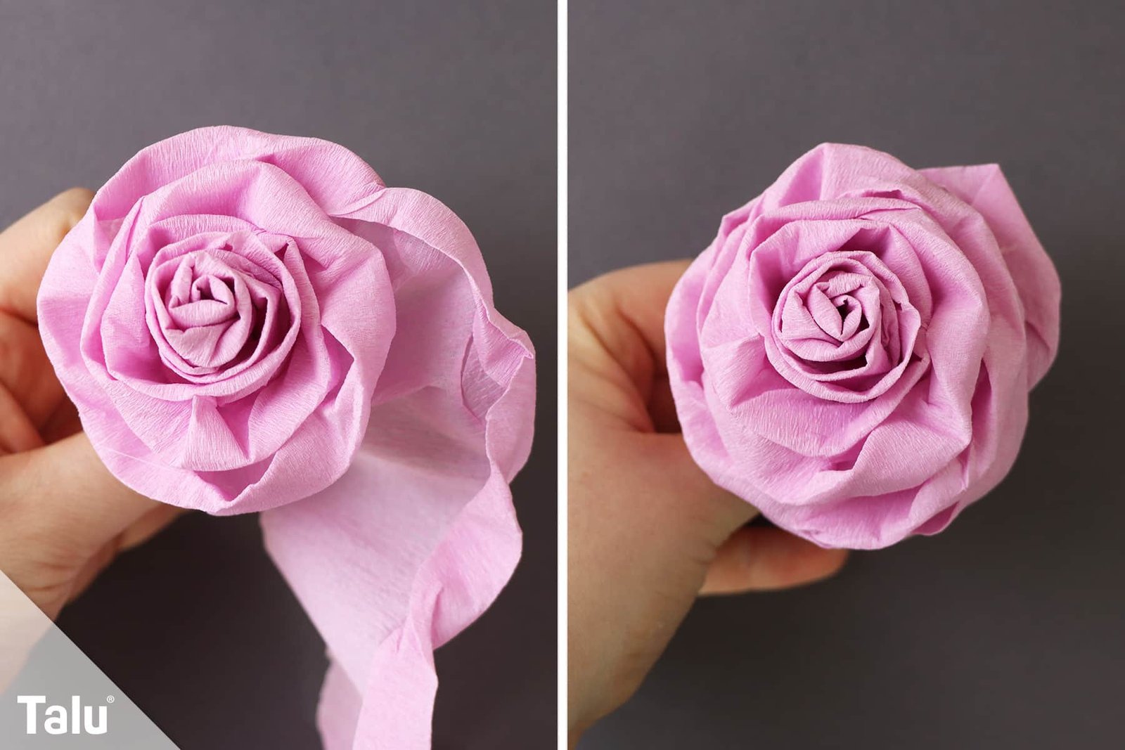 Rose Aus Krepppapier Basteln | Einfache Anleitung - Talu.de for Blumen Krepp Basteln